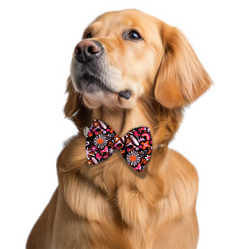 Pawsindia Pop Funk Pattern Bow Tie